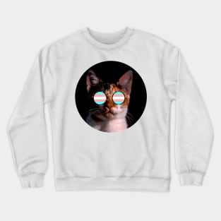 Cute Cat with Glasses Flag Crewneck Sweatshirt